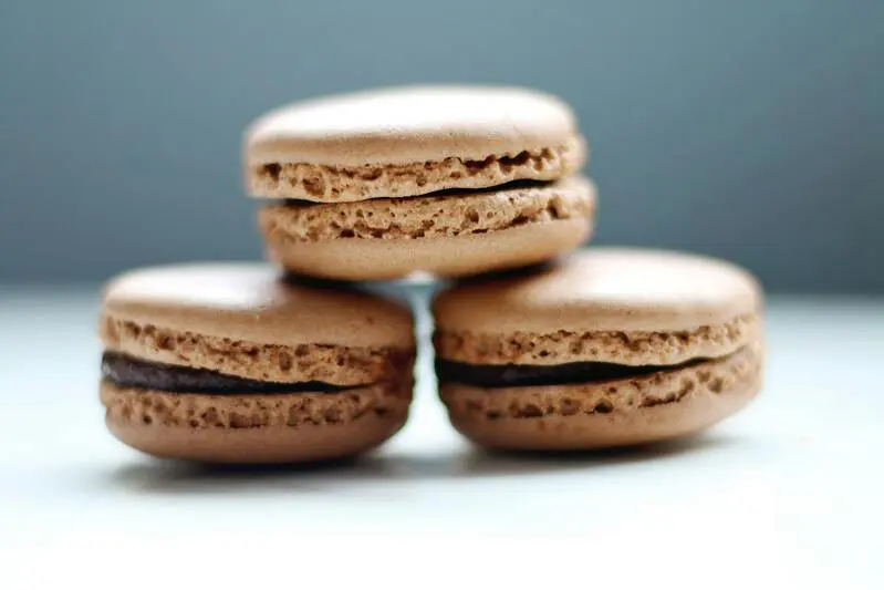 Degustation-macarons-macaron-Alliance-FRancaise-Montpellier-sud-de-france.jpg